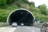 Montevetrano II Tunnel