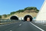 Tunnel de Piale