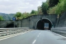 Piano Corsopato Tunnel