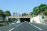 Tunnel Rosarno