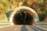 Tanagro Tunnel