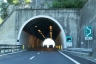 Torre Falco Tunnel