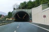 Varcovalle Tunnel