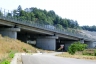 Talbrücke Pecorone II