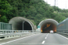Kardauner Tunnel