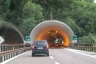 Tunnel de Rosa-Kofler