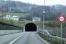 Tunnel du Chienberg
