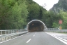 Campiolo Tunnel