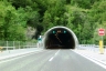 Tunnel de Dogna
