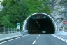 Moggio Udinese-Tunnel