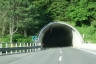 Pagonia Tunnel