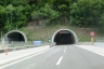 Raccolana-Tunnel