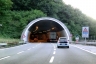 Tunnel Berté