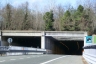 Tunnel de Boscarola