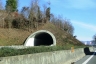 Campiglia Tunnel