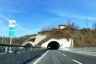 Castellaccio Tunnel