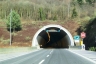 Mottavinea Tunnel