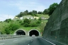 Pero Grosso Tunnel