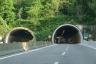 Tunnel de Selva Spessa