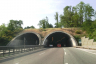 Tagliolo Tunnel