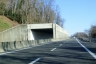 Tunnel Tiasca 2