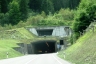 Tunnel de Gotschna
