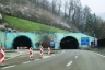 Ebenrain Tunnel