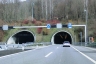 Monte Ceneri Tunnel