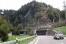 Monte Piottino Tunnel