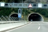Tunnel de Pardorea