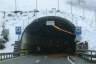 Ried Tunnel