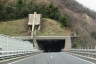 Tunnel de Melide-Grancia