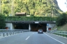 Tunnel de Taubach