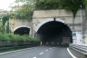 Seminario Tunnel
