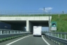 Tunnel Melzo
