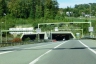 Uetliberg Tunnel
