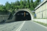 Cholfirst Tunnel