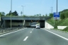 Eigi Tunnel