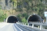 Tunnel d'Engiberg