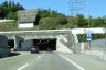 Islisbergtunnel