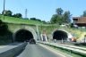 Tunnel Schonegg