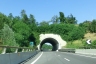 Altare Tunnel