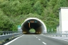 Tunnel de Biestro