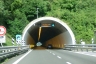 Bogile Tunnel