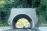 Tunnel de Cornaro