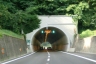 Tunnel de De Matteis