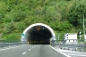 Gronda Tunnel