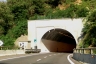 Niju Tunnel