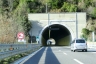 Tunnel Ricchini