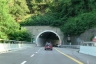 Teccio II Tunnel